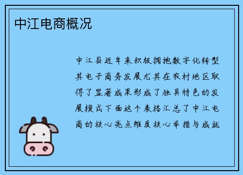 中江电商概况